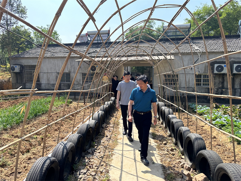 “追尋紅色足跡，擁抱生態(tài)夏意”-夏日團建活動10
